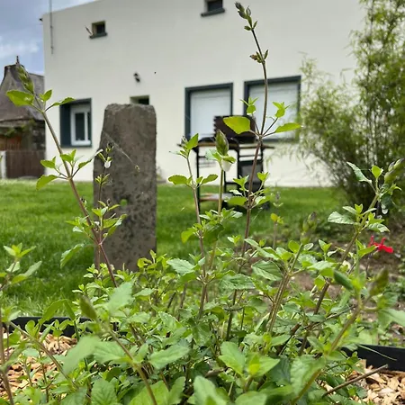 Feriehus Ecrin De Verdure Jacuzzi Et Piscine