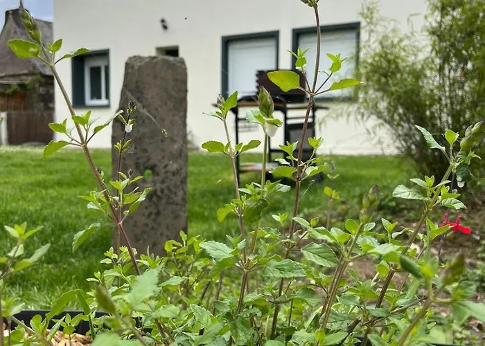 Tatil Evi Ecrin De Verdure Jacuzzi Et Piscine